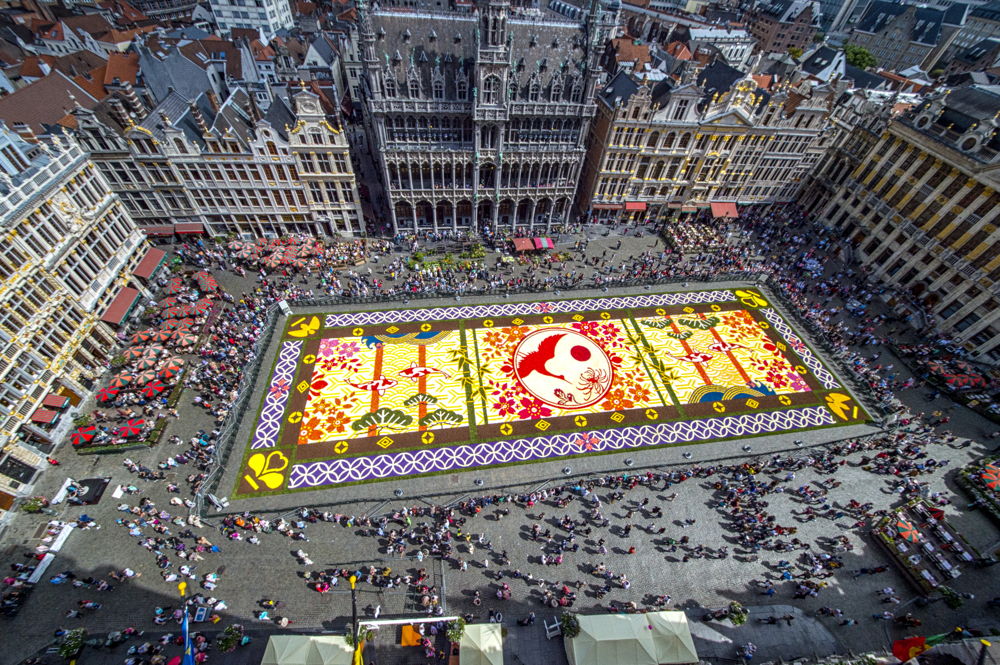 Brussels Flower Carpet 2016
© Wim Vanmaele
