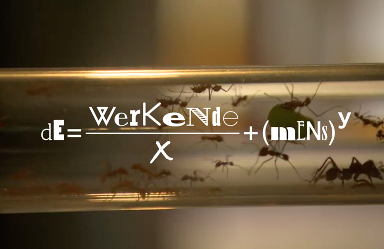 De werkende mens - (c) VRT