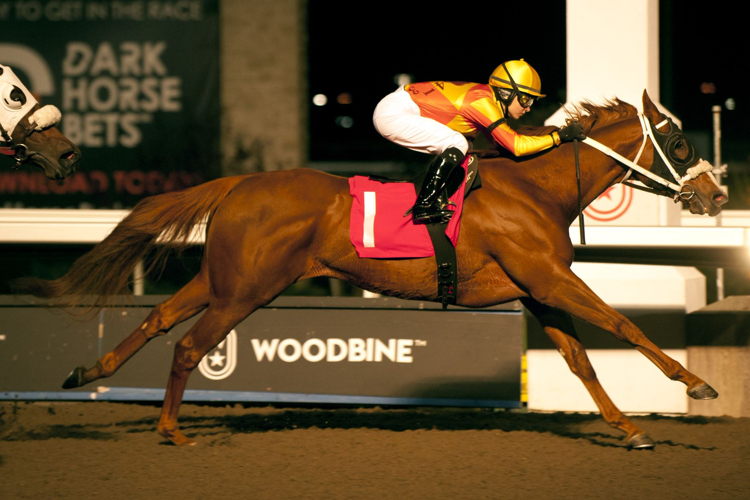 Sophia Vives and Gizmo's BFF winning on the Woodbine Tapeta on November 5, 2022 (Michael Burns Photo)