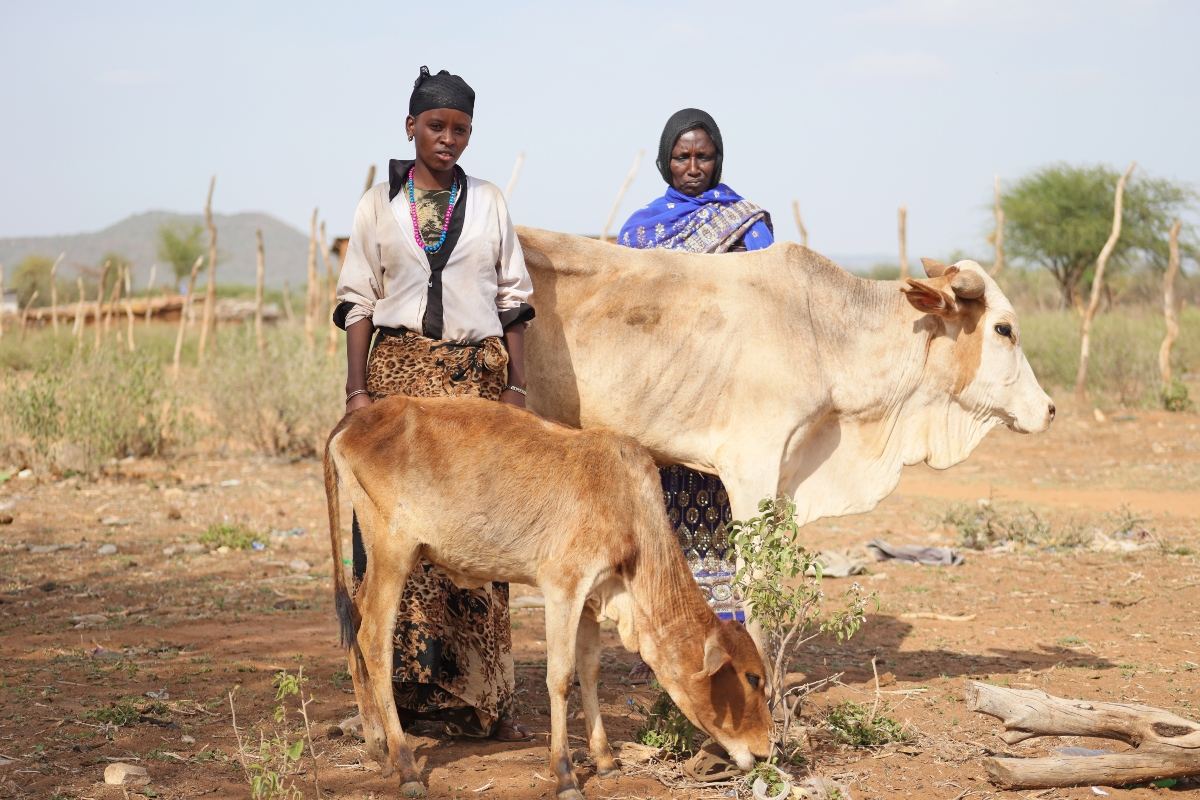 Elema, 18, en haar moeder bij twee van hun overgebleven stuks vee.
(copyright Plan International) Elema, 18, en haar moeder bij twee van hun overgebleven stuks vee.
(copyright Plan International)