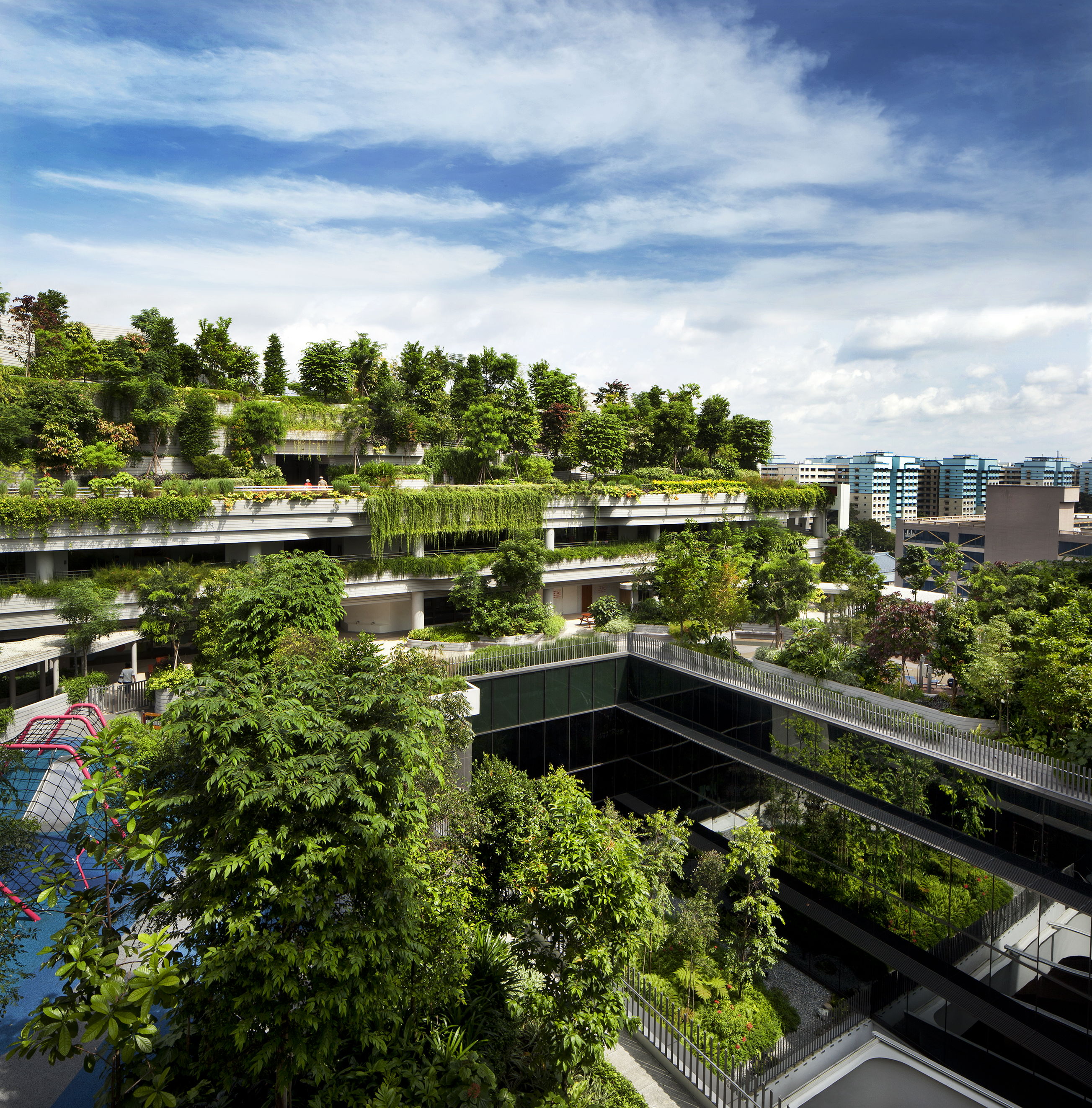 Kampung Admiralty by Ramboll Studio Dreiseitl (landscape design) and WOHA (architectural lead). Image: Patrick Bingham-Hall