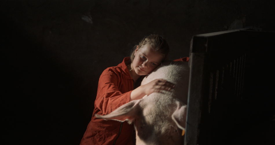 Leonie, Skeet en de biggen