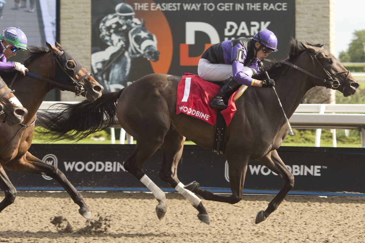 Secret Reserve and jockey Eswan Flores winning the Bold Venture Stakes on August 13th 2022 (Michael Burns Photo) 