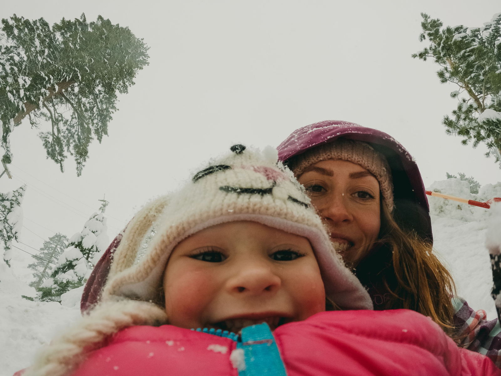 Guía de Regalos GoPro: Encuentra la cámara perfecta para cada persona 