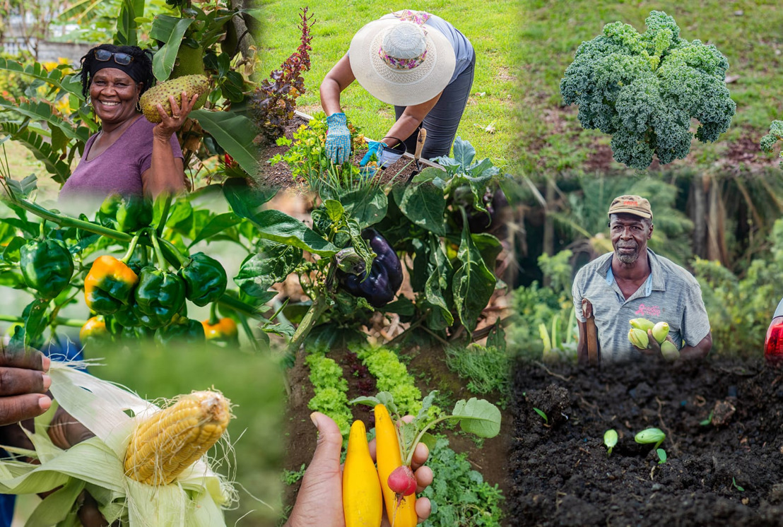 OECS Hosts Special Meeting of the Council of Ministers: Agriculture