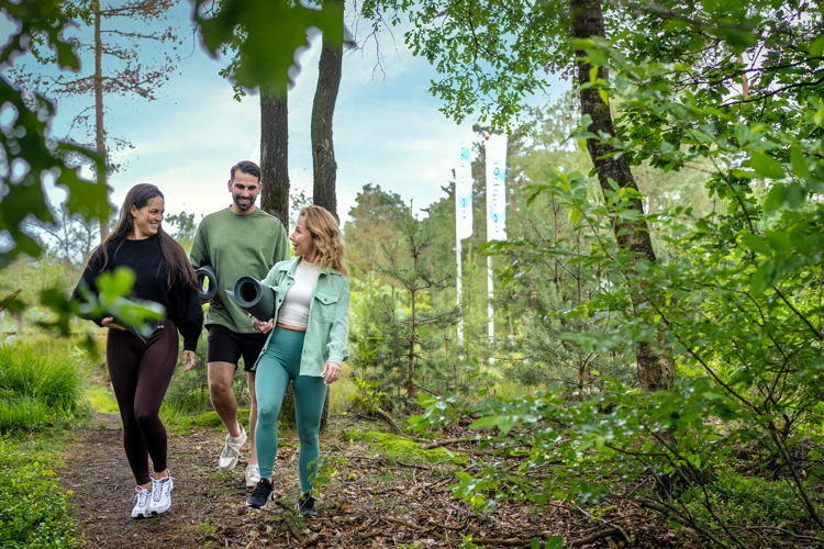 Roompot - Marber Veluwe