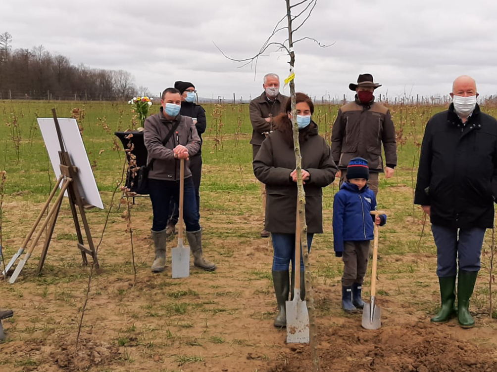 Vlaams ministers Zuhal Demir en Ben Weyts planten Heldenboompje en lanceren projectsubsidie Groene Rand op Wereldbosdag