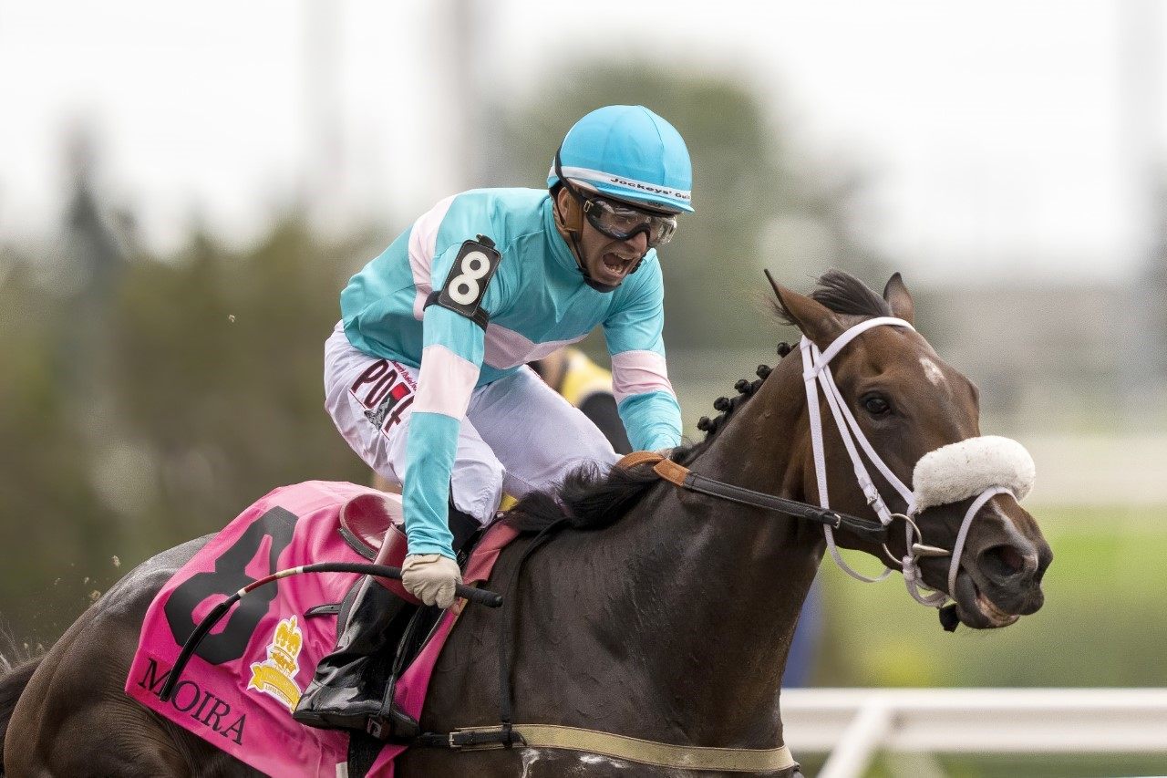 Moira and Rafael Hernandez winning the 163rd running of The Queen's Plate. (Michael Burns Photo)