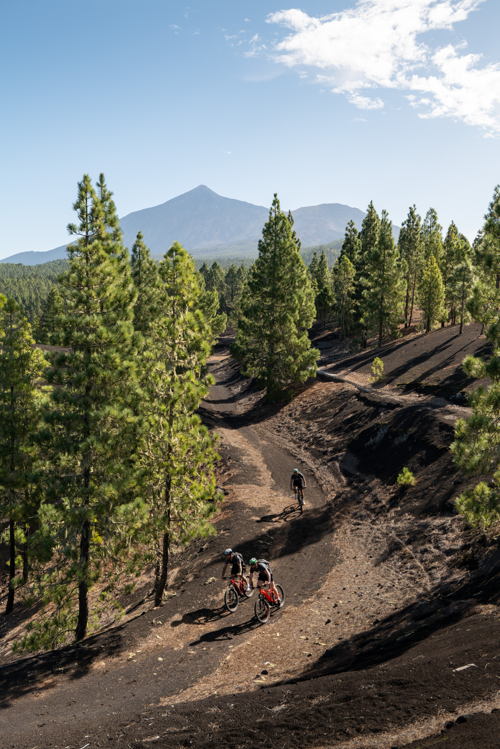 Mountainbike Chinyero trail