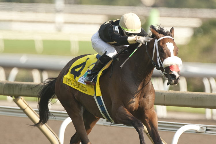 Full Count Felicia and jockey Kazushi Kimura winning the E.P. Taylor Stakes on September 14, 2024 (Michael Burns Photo)