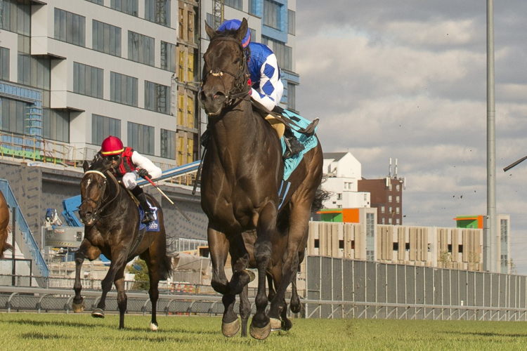 Cazadero and jockey Patrick Husbands winning the Nearctic Stakes on Saturday at Woodbine (Michael Burns Photo)