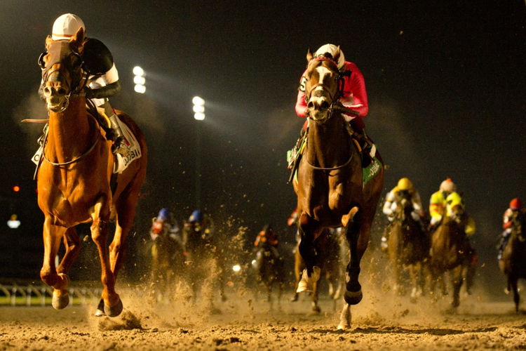 Sir Winston and Patrick Husbands score the win in the Valedictory Stakes (G3) at Woodbine. (Michael Burns Photo)