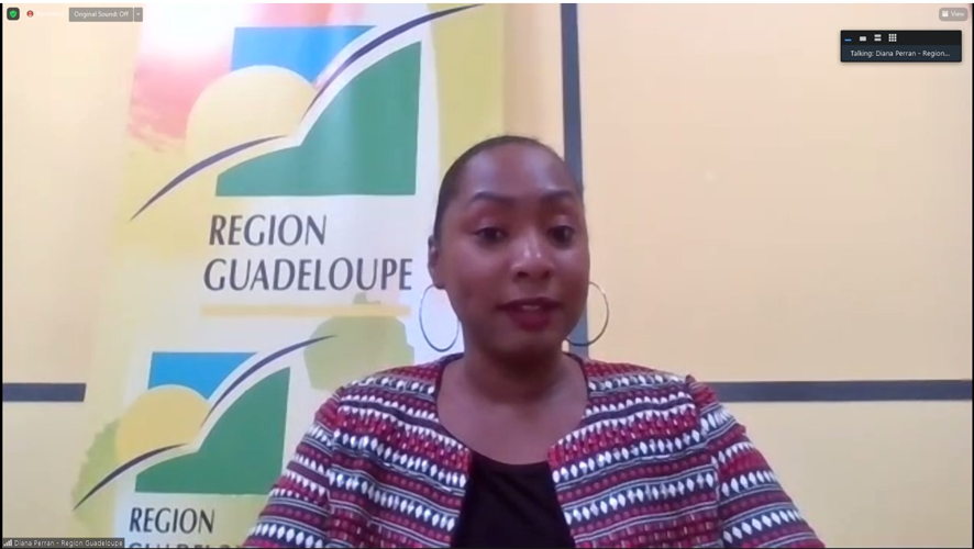 Vice President of the Guadeloupe Regional Council Diana Perran