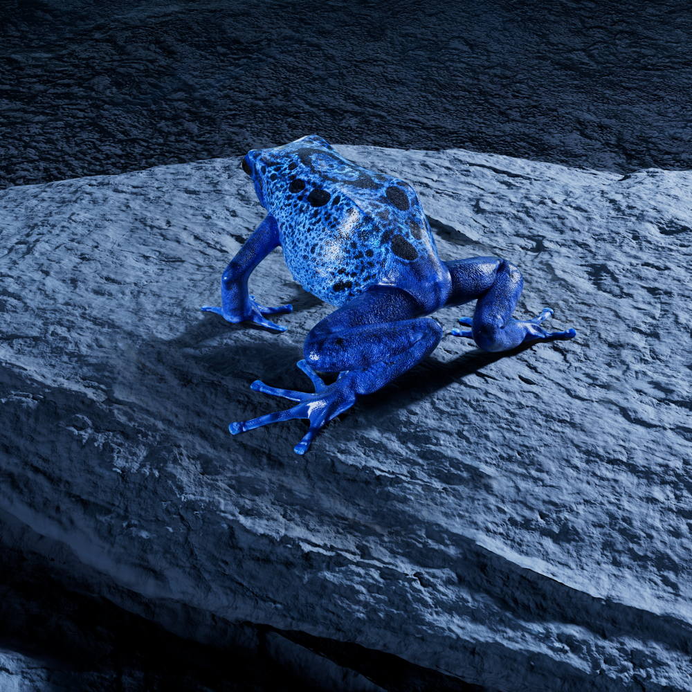 ARTIFACTS FROM THE FUTURE CAMPAIGN IMAGE (8)