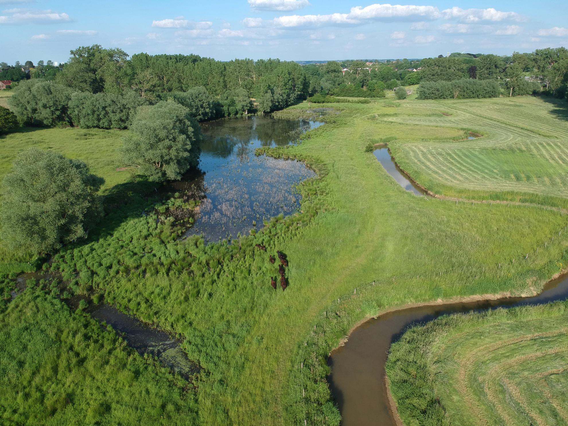 BNP Paribas Fortis et Natuurpunt restaurent la nature dans la Zuunvallei 