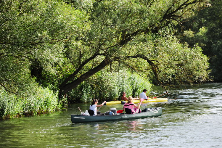 Biesbosch © VisitBrabant

