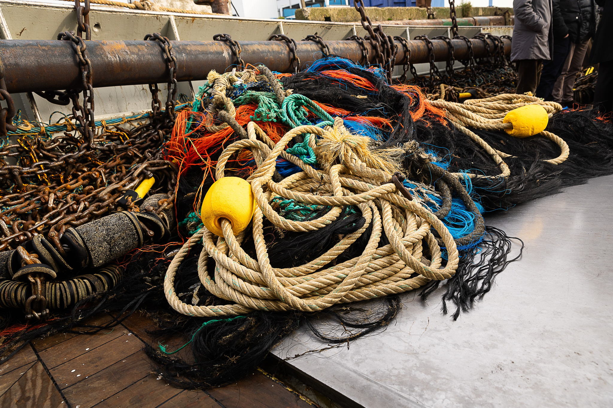 Belgian fishers to help scientists collect data on fish stocks