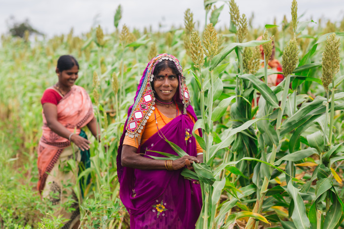 Preview: Farm to fork: An overview of millet supply chains in India