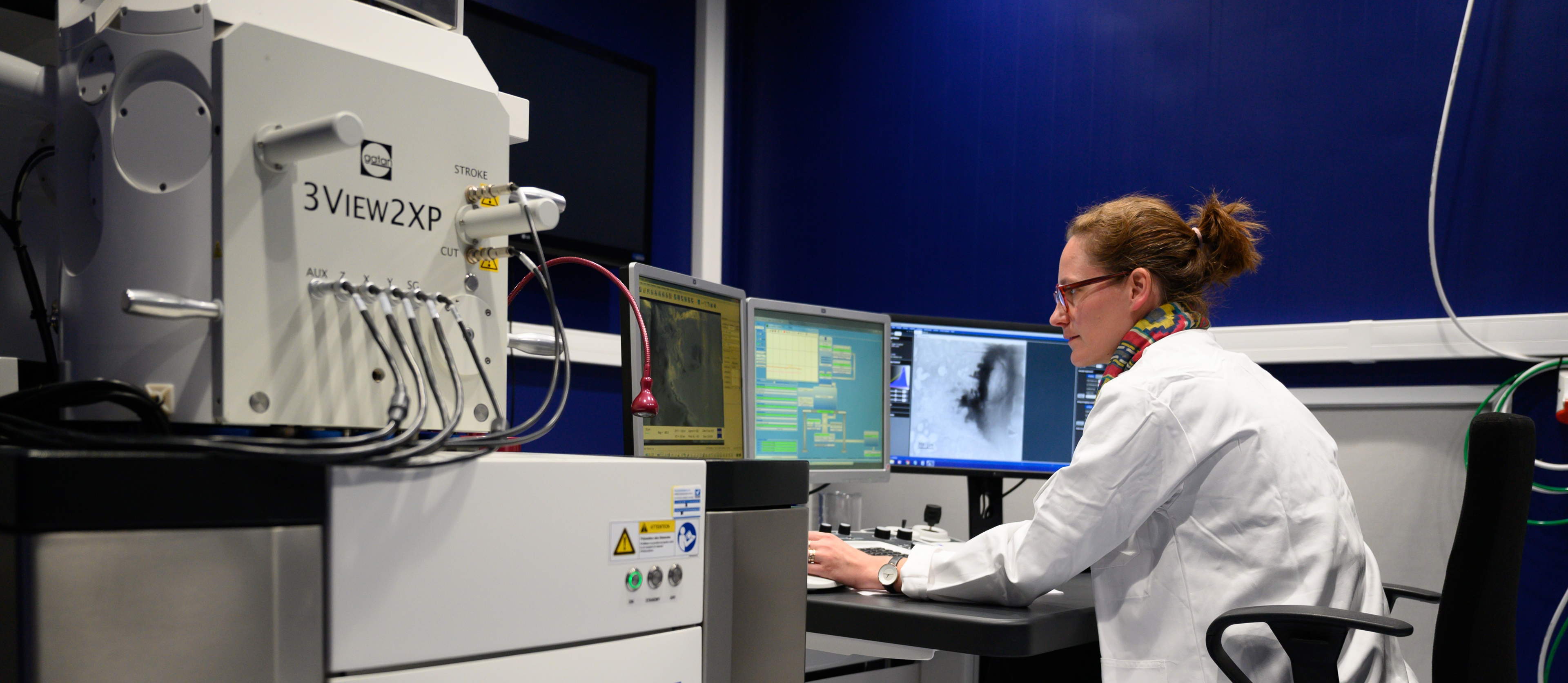 Advancing career pathways in research infrastructure with ARISE2