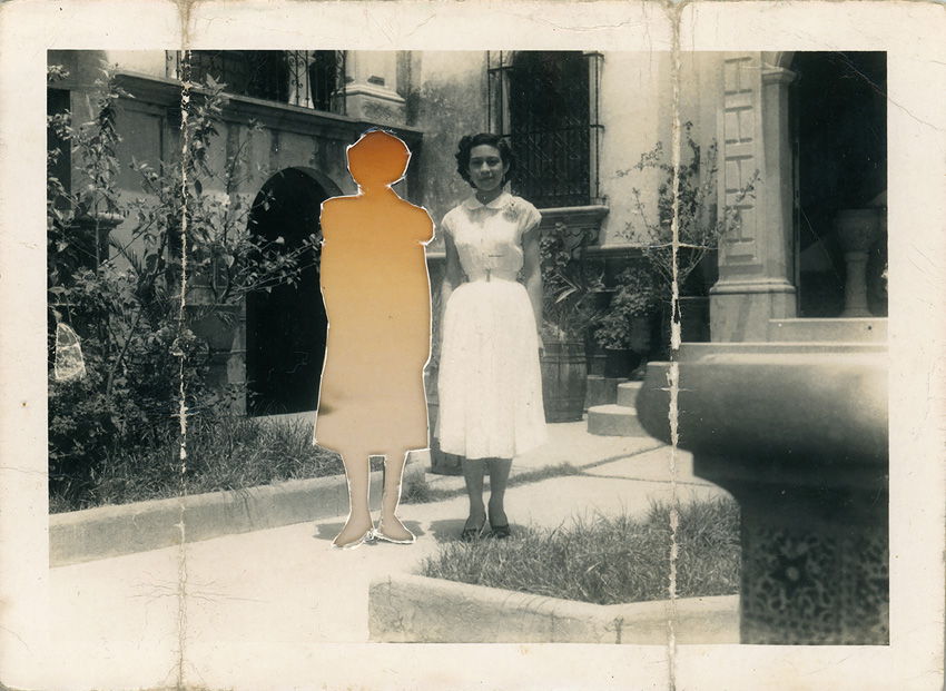 SWPA 2026 -​ ​finali�ci i zdobywcy wyr�nie� ​w konkursie profesjonalnym