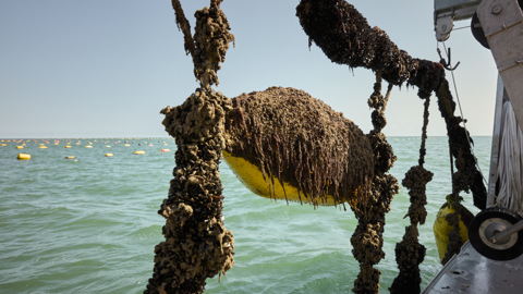 71.44071000000001%
