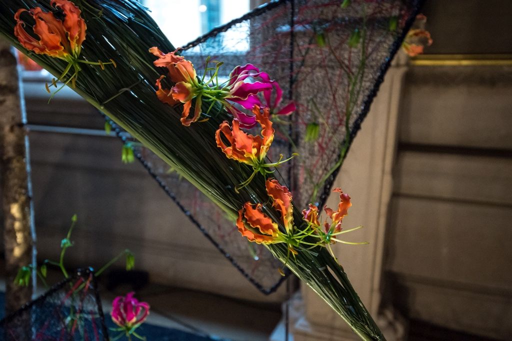 Flowertime 2015
© Wim Vanmaele