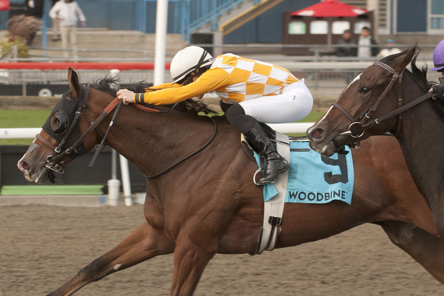 Emma-Jayne Wilson and Who's the Star winning the Durham Cup Stakes on October 8, 2022 (Michael Burns Photo)