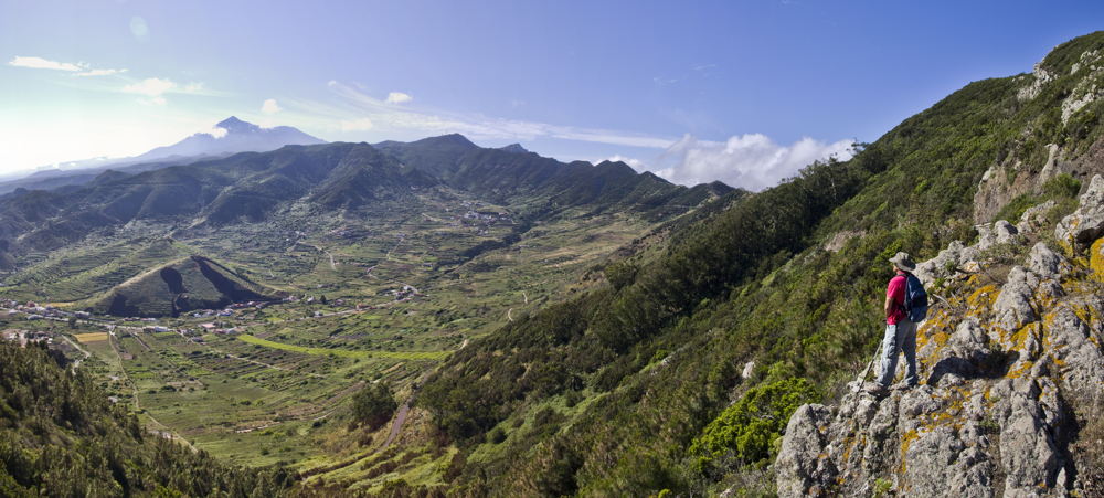 Palmar - Cumbre Bolico