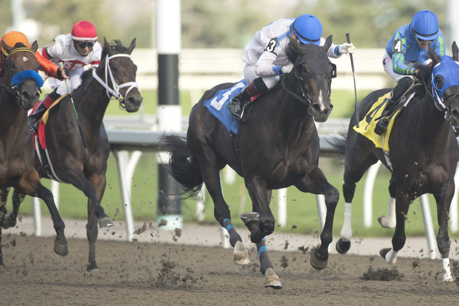 Souper Sinclair and jockey Jose Campos winning the Algoma Stakes on August 27, 2023 at Woodbine (Michael Burns Photo) 