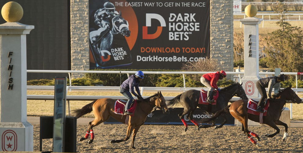 Training miles at Woodbine in preparation for opening day on Saturday, April 16. (Michael Burns Photo)