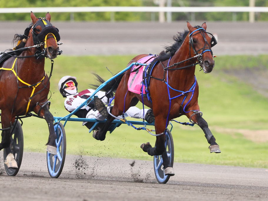 Prince Hal Hanover and Bourbon County take Beach divisions