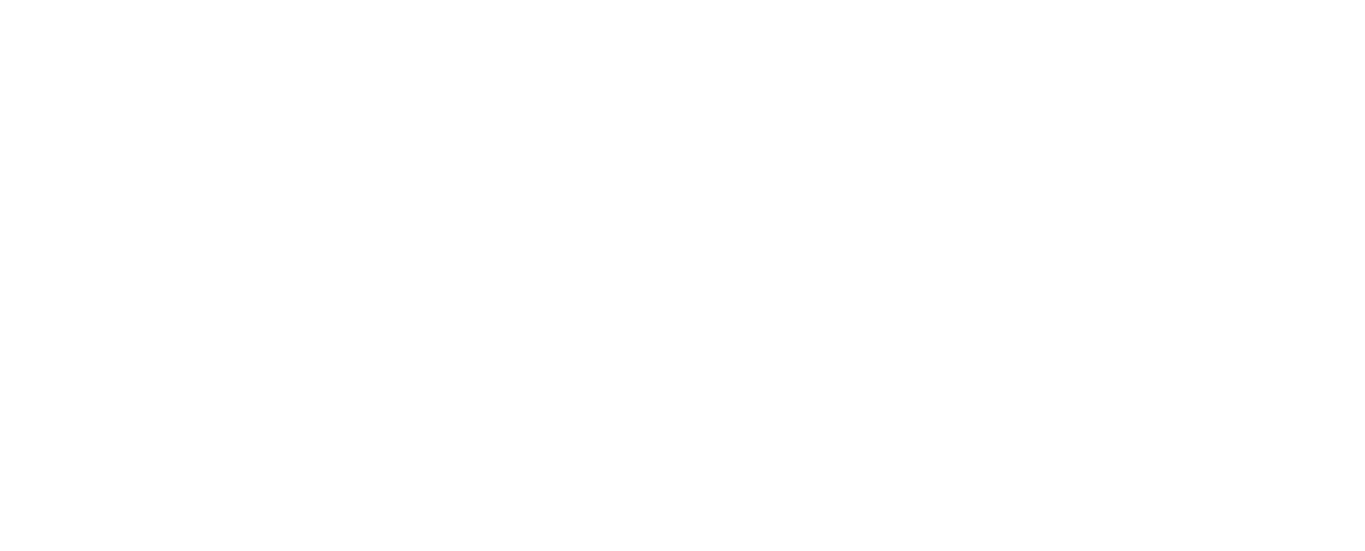 Plan International logo (white)