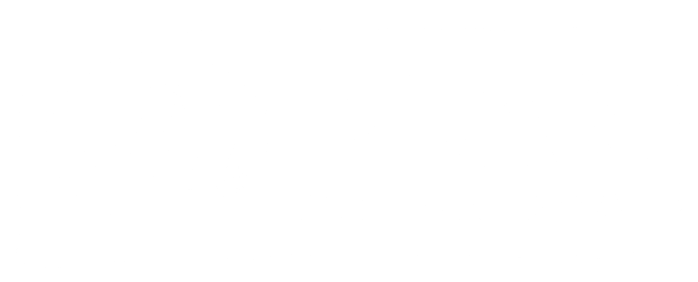 Plan International logo (wit).png