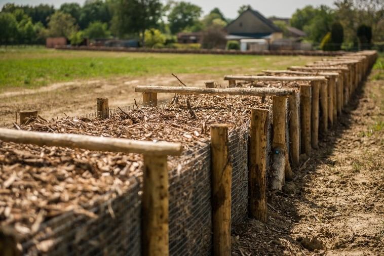 Houthakseldam in Vlaams-Brabant (copyright: Peter Maris)