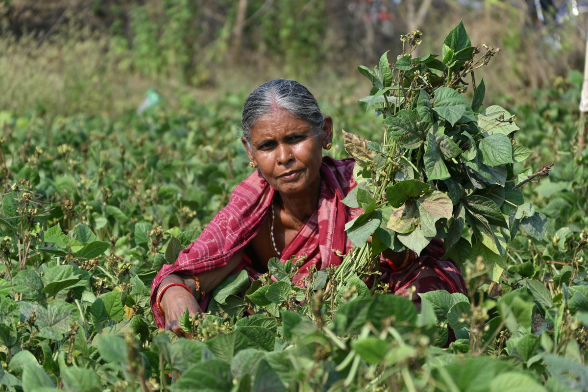 Photo: Kamala Pradhan (Farmer) 