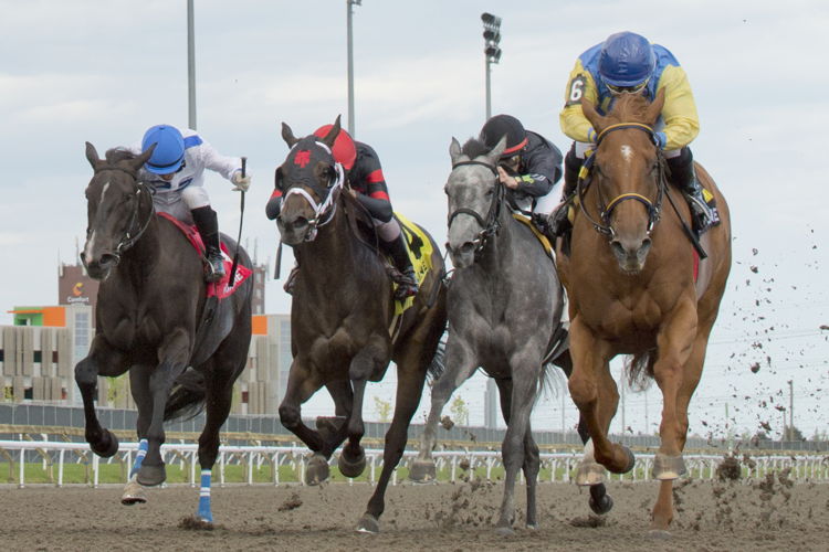 Foolish Games and jockey Omar Moreno winning the Thunder Bay Stakes on July 30, 2023 at Woodbine (Michael Burns Photo)