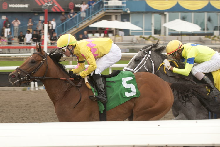 Turf King and jockey Kazushi Kimura winning the Marine Stakes on July 1, 2023 at Woodbine (Michael Burns Photo)