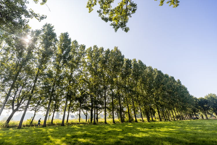 Van Gogh Wandelroute Nuenen