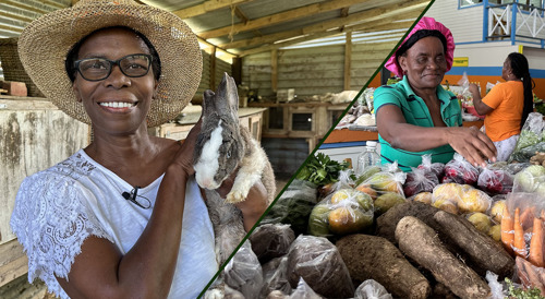 "Her Land. Her Rights" - The OECS Releases Video Documentary on Women in Farming in St. Vincent and the Grenadines