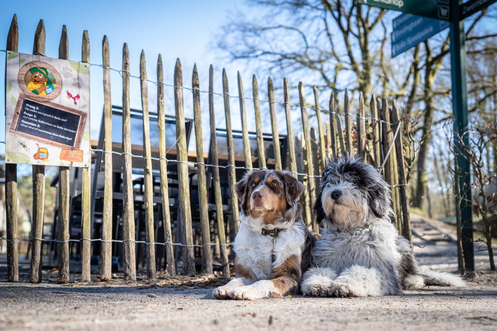 Landal Rabbit Hill met de hond