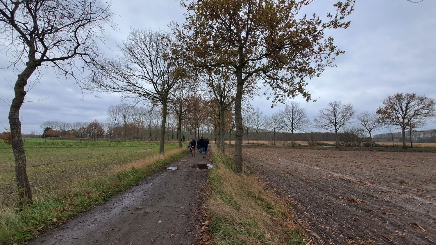 beeld gronden