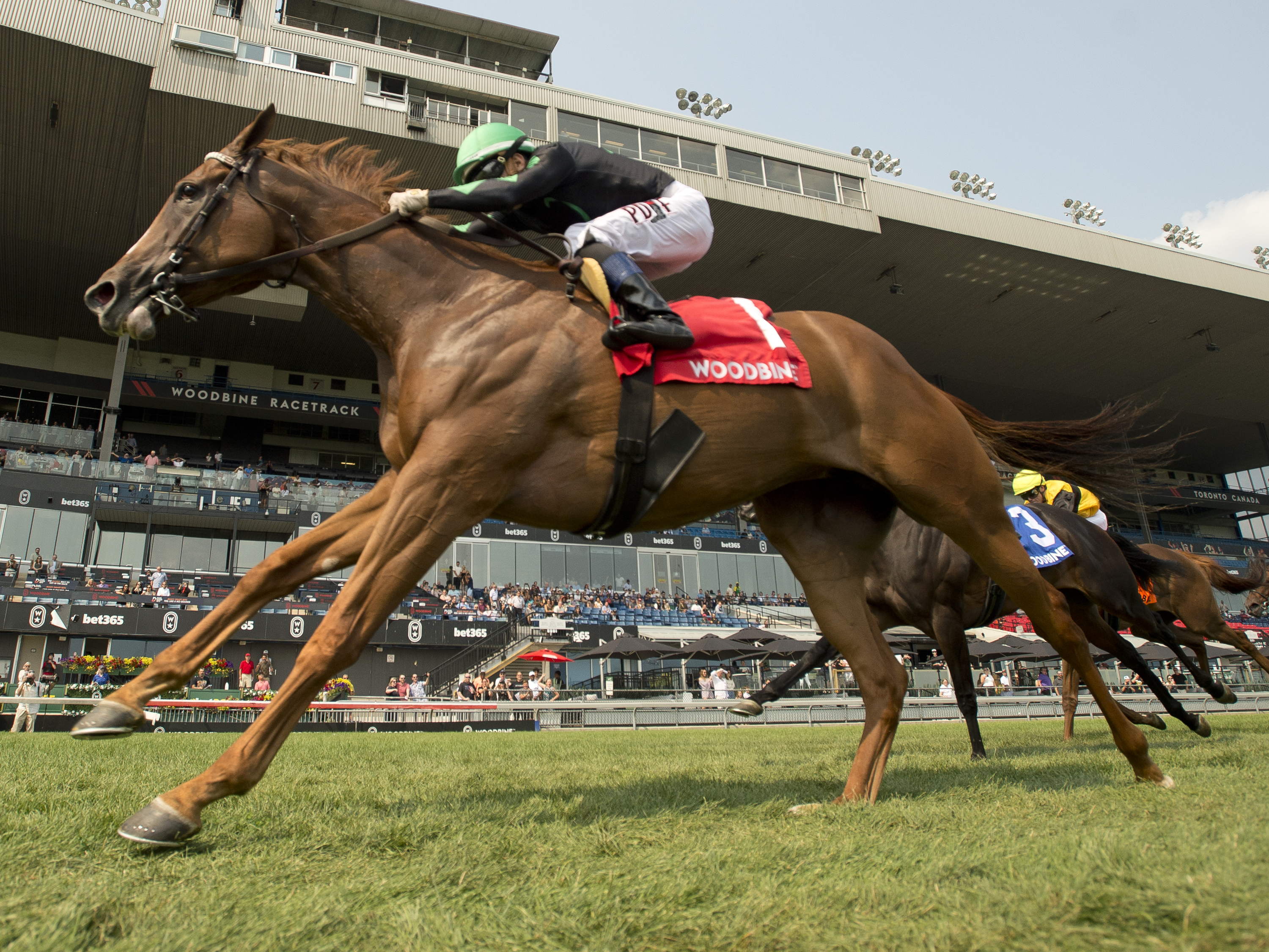 Imposing Oujda (FR) comes up big in Sweet Briar Too 