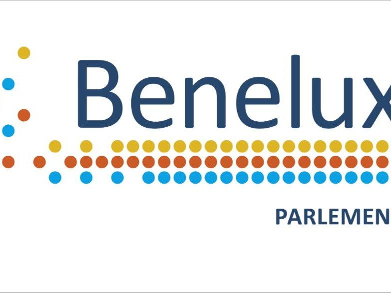 Plenaire zitting 21 en 22 maart "Artificiële Intelligentie" 
