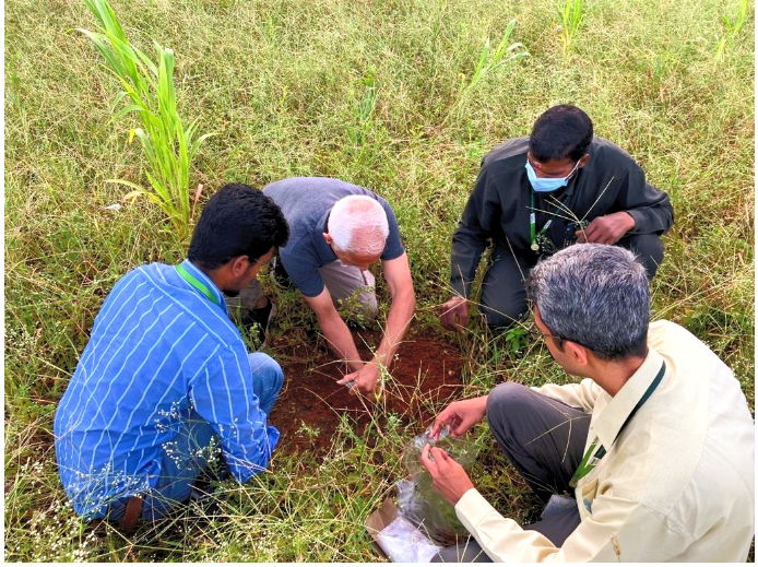 Investigating a field site at the ICRISAT campus to begin some activities proposed by a farmer. 