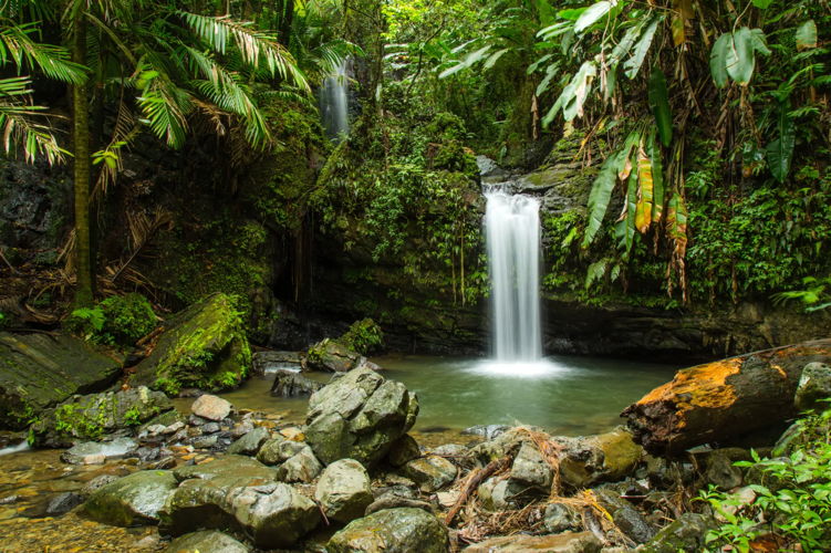 El Yunque National Forest, PR