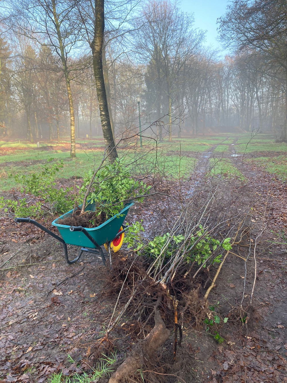 MeerbomenNu en Landal GreenParks