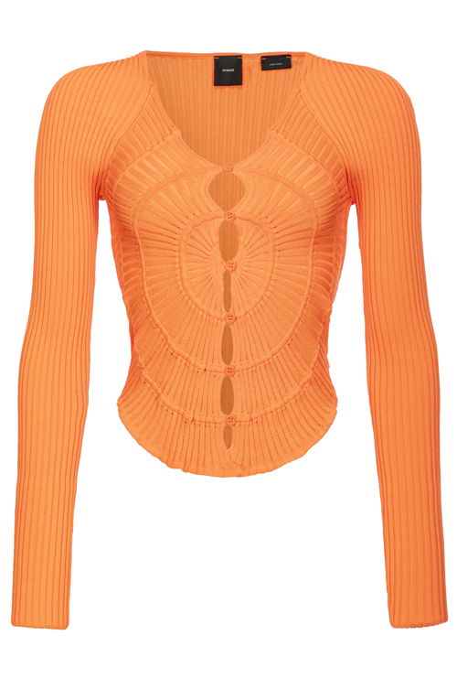PINKO_SS25_104627-A2E6_235EUR