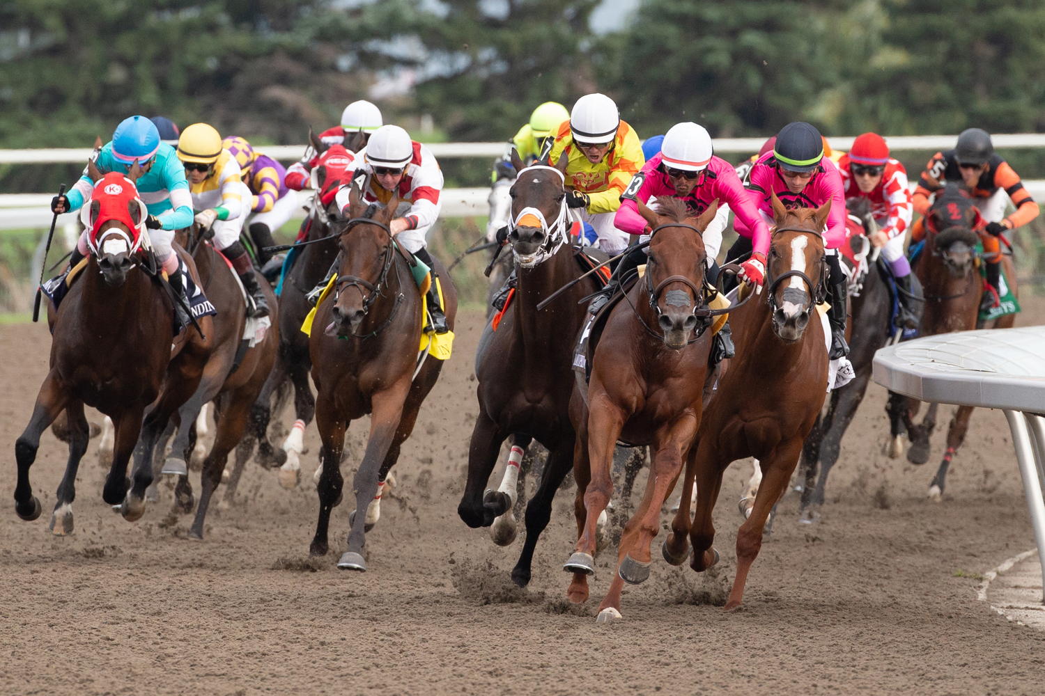 The 164th King's Plate, August 20, 2023 at Woodbine (Michael Burns Photo)