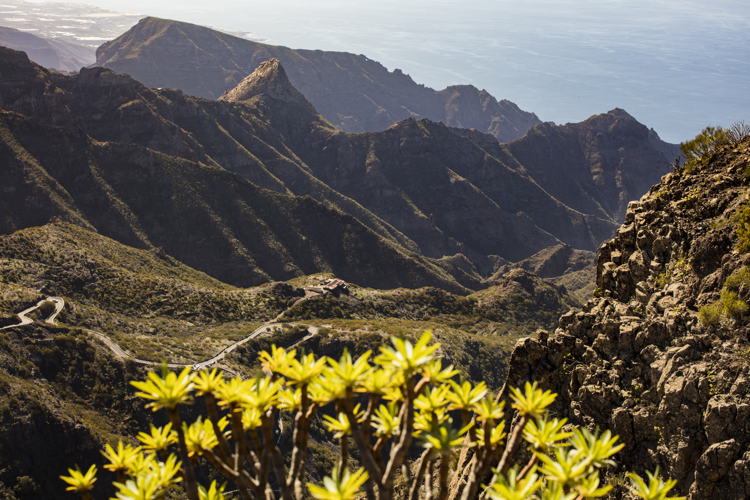 Barranco de Masca
