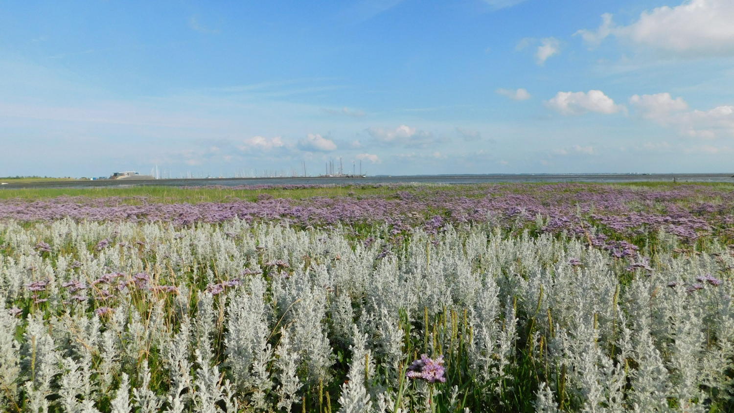 Schiermonnikoog